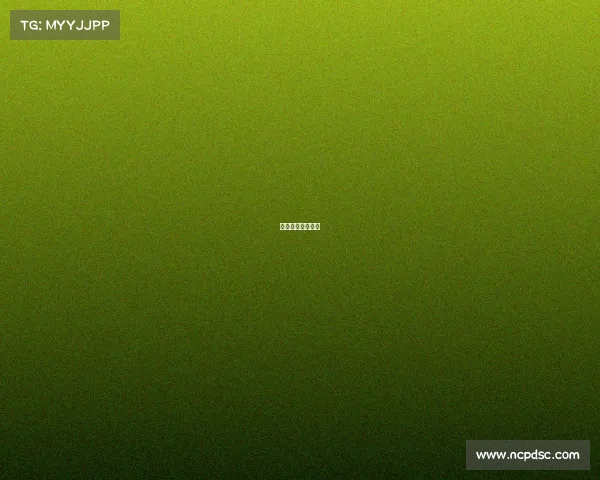 我做体育赛事作文